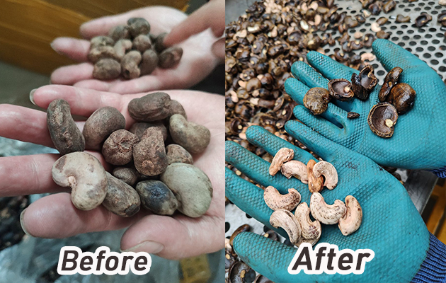 Shelled Cashew Nut